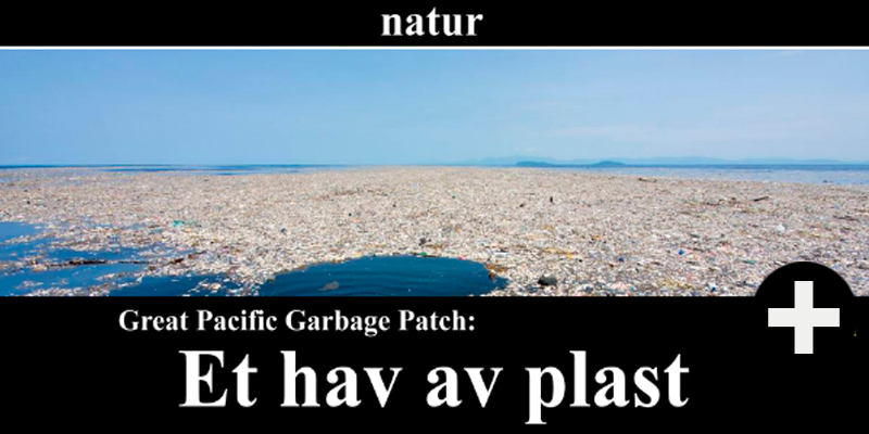 Thumbnail Image 1