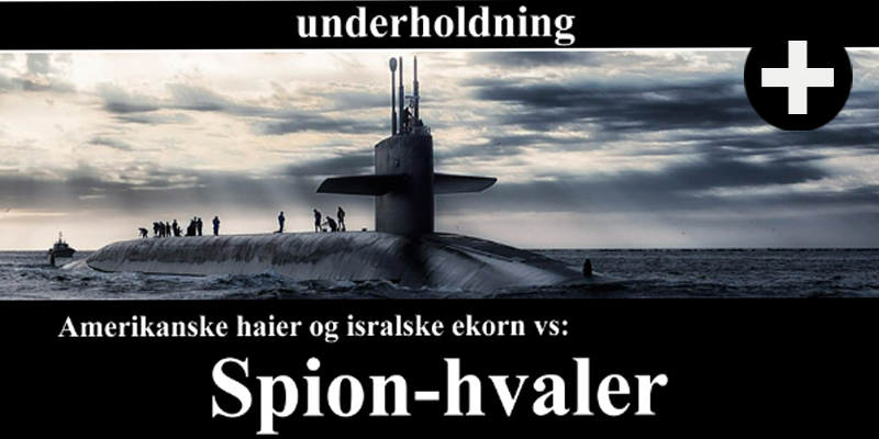 Thumbnail Image 1